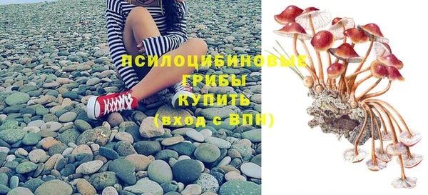 тгк Няндома