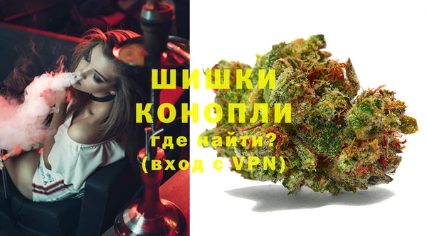 тгк Няндома
