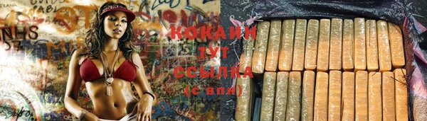 тгк Няндома