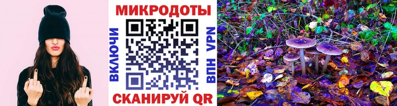 Псилоцибиновые грибы Psilocybe  наркотики  Белоярский 